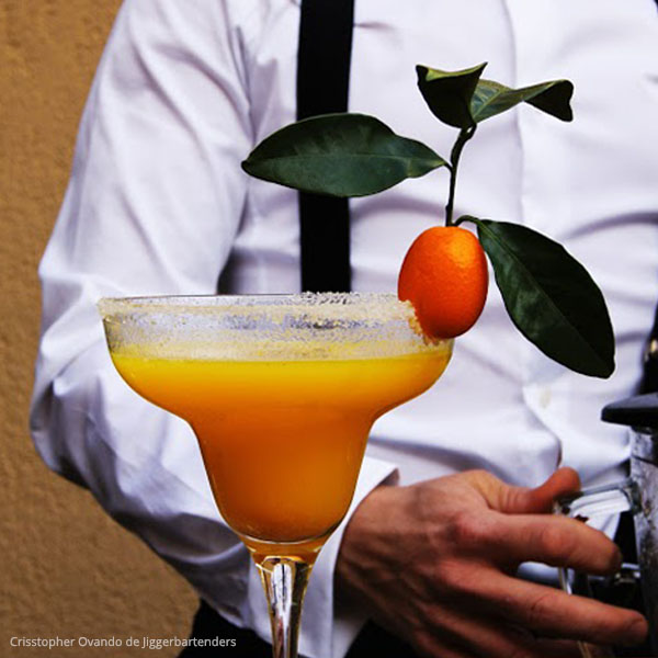 Taller Cocteles - Just Royal Bcn